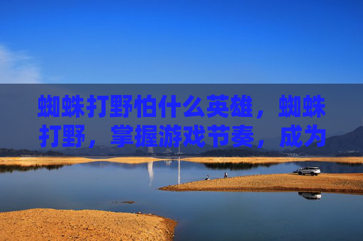 蜘蛛打野怕什么英雄，蜘蛛打野，掌握游戏节奏，成为野区霸主