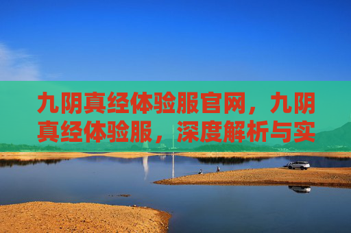 九阴真经体验服官网，九阴真经体验服，深度解析与实战攻略