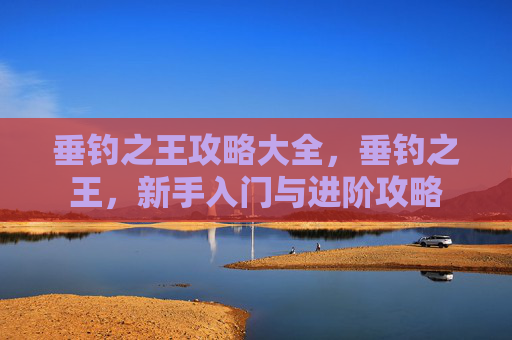 垂钓之王攻略大全，垂钓之王，新手入门与进阶攻略
