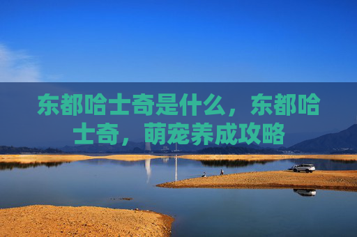 东都哈士奇是什么,东都哈士奇,萌宠养成攻略 东都哈士奇是什么,东都哈士奇,萌宠养成攻略