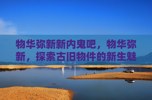 物华弥新新内鬼吧，物华弥新，探索古旧物件的新生魅力
