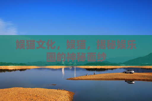 娱猫文化，娱猫，揭秘娱乐圈的神秘面纱