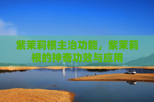 紫茉莉根主治功能,紫茉莉根的神奇功效与应用 紫茉莉根主治功能,紫茉莉根的神奇功效与应用