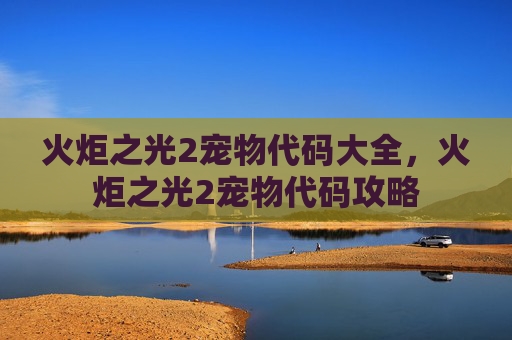 火炬之光2宠物代码大全,火炬之光2宠物代码攻略 火炬之光2宠物代码大全,火炬之光2宠物代码攻略