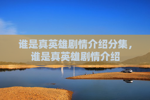 谁是真英雄剧情介绍分集，谁是真英雄剧情介绍
