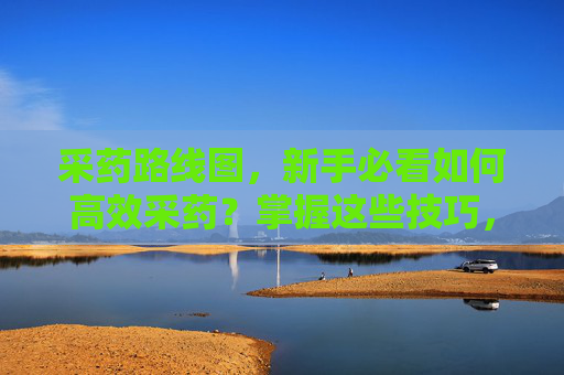 采药路线图，新手必看如何高效采药？掌握这些技巧，让你的冒险之旅更加丰富多彩！