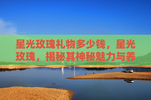 星光玫瑰礼物多少钱,星光玫瑰,揭秘其神秘魅力与养护之道 星光玫瑰礼物多少钱,星光玫瑰,揭秘其神秘魅力与养护之道