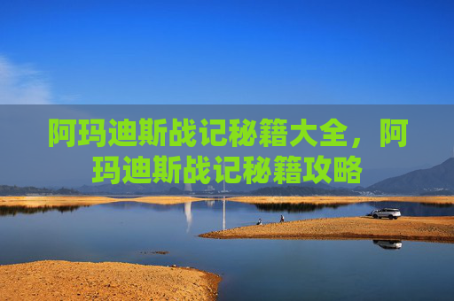 阿玛迪斯战记秘籍大全，阿玛迪斯战记秘籍攻略