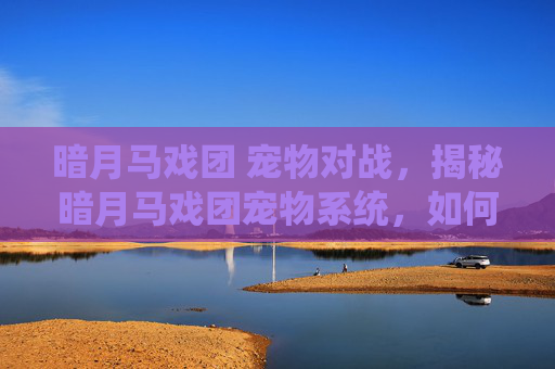 暗月马戏团 宠物对战，揭秘暗月马戏团宠物系统，如何培养你的专属伙伴？