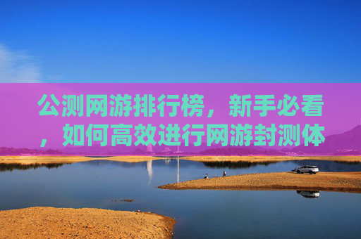 公测网游排行榜，新手必看，如何高效进行网游封测体验