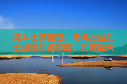 龙斗士技能石，龙斗士魔剑士技能加点攻略，如何最大化你的战斗力
