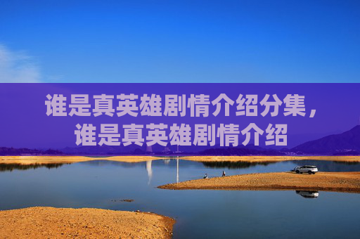 谁是真英雄剧情介绍分集，谁是真英雄剧情介绍