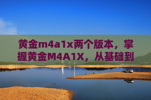 黄金m4a1x两个版本,掌握黄金M4A1X,从基础到进阶的全面攻略 黄金m4a1x两个版本,掌握黄金M4A1X,从基础到进阶的全面攻略