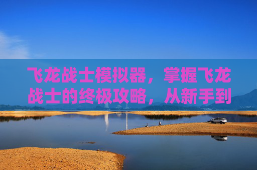 飞龙战士模拟器，掌握飞龙战士的终极攻略，从新手到高手的全面指南