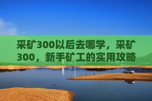 采矿300以后去哪学,采矿300,新手矿工的实用攻略 采矿300以后去哪学,采矿300,新手矿工的实用攻略