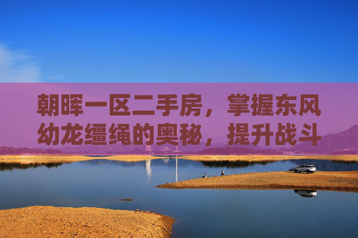 朝晖一区二手房，掌握东风幼龙缰绳的奥秘，提升战斗效率与策略运用