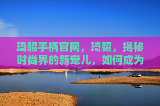 琦貂手柄官网，琦貂，揭秘时尚界的新宠儿，如何成为街头焦点？