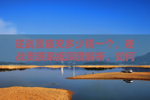 逆战贵族充多少钱一个，逆战贵族系统深度解析，如何高效充值以享受贵族特权