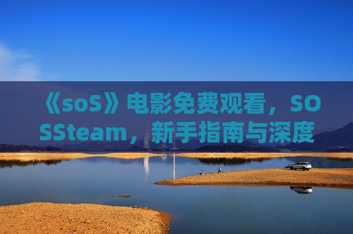 《soS》电影免费观看，SOSSteam，新手指南与深度解析