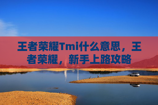 王者荣耀Tmi什么意思，王者荣耀，新手上路攻略