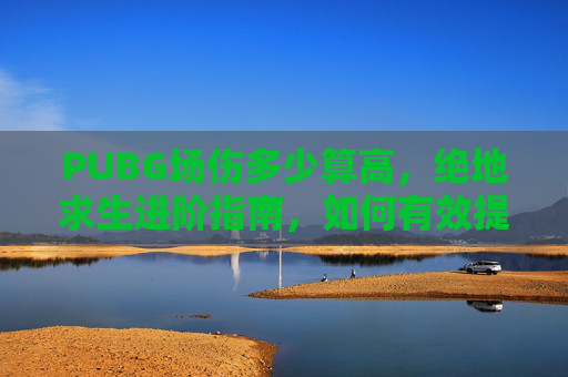 PUBG场伤多少算高，绝地求生进阶指南，如何有效提升你的战场生存能力