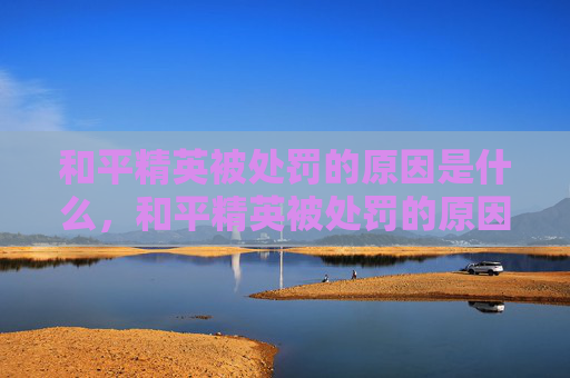 和平精英被处罚的原因是什么，和平精英被处罚的原因