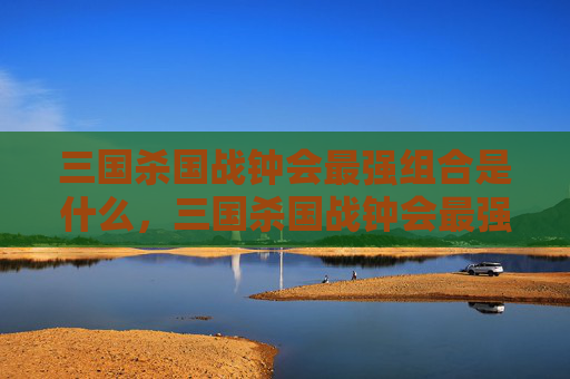 三国杀国战钟会最强组合是什么，三国杀国战钟会最强组合攻略