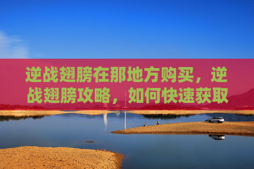 逆战翅膀在那地方购买，逆战翅膀攻略，如何快速获取你的专属翅膀？