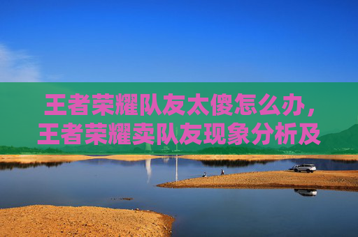 王者荣耀队友太傻怎么办，王者荣耀卖队友现象分析及应对策略