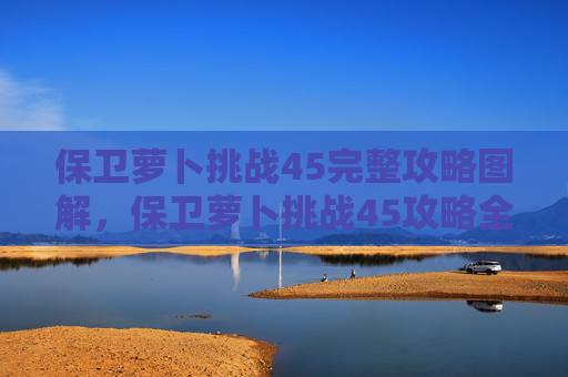 保卫萝卜挑战45完整攻略图解，保卫萝卜挑战45攻略全解析