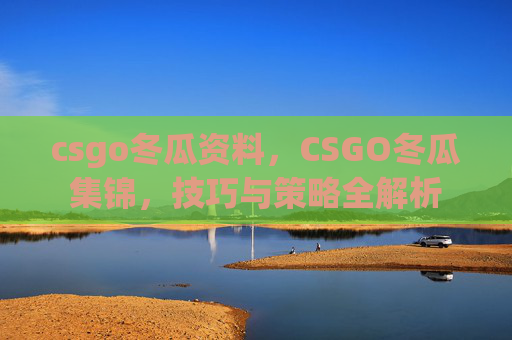 csgo冬瓜资料，CSGO冬瓜集锦，技巧与策略全解析
