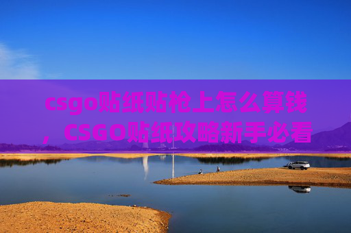 csgo贴纸贴枪上怎么算钱，CSGO贴纸攻略新手必看！如何高效使用贴纸提升游戏体验