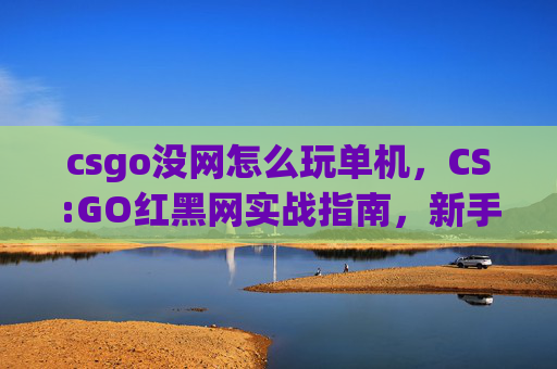 csgo没网怎么玩单机，CS:GO红黑网实战指南，新手玩家的必修课