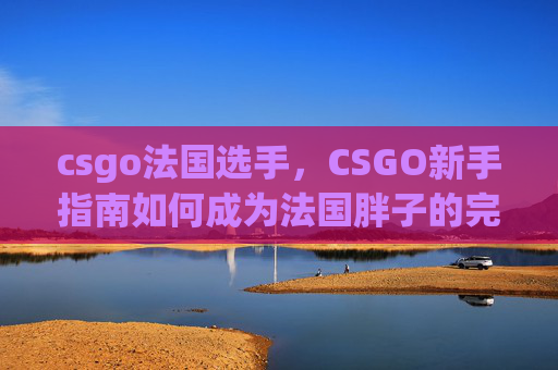 csgo法国选手，CSGO新手指南如何成为法国胖子的完美玩家？