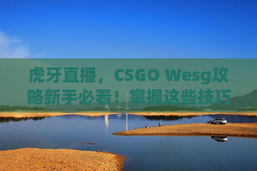 虎牙直播，CSGO Wesg攻略新手必看！掌握这些技巧让你在Wesg中游刃有余