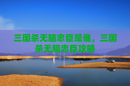 三国杀无脑忠臣是谁，三国杀无脑忠臣攻略