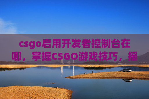 csgo启用开发者控制台在哪，掌握CSGO游戏技巧，摇杆的正确使用与调整