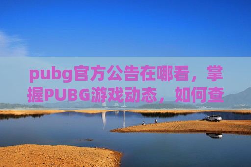 pubg官方公告在哪看，掌握PUBG游戏动态，如何查看和利用游戏公告