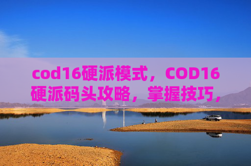 cod16硬派模式，COD16硬派码头攻略，掌握技巧，成为码头之王！