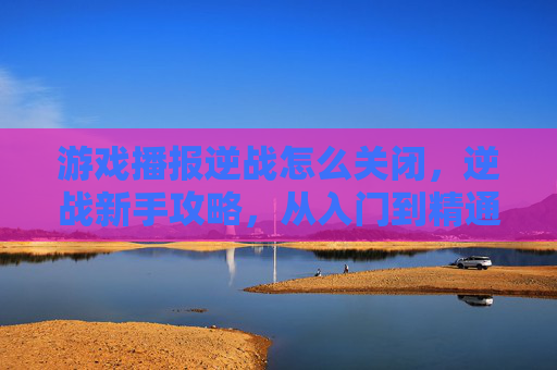 游戏播报逆战怎么关闭，逆战新手攻略，从入门到精通的全面指南