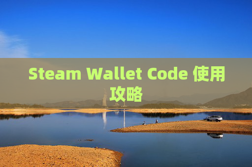 Steam Wallet Code 使用攻略