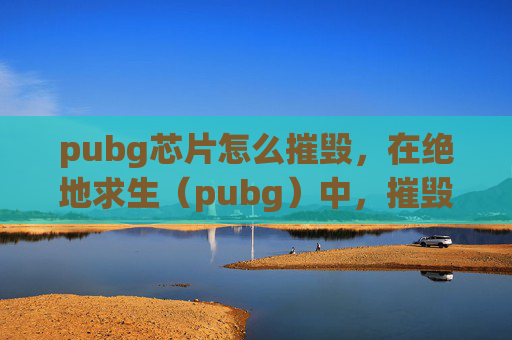 pubg芯片怎么摧毁，在绝地求生（pubg）中，摧毁唱片是获取游戏内货币和装备的重要手段之一。以下是一份攻略，旨在帮助玩家更有效地摧毁唱片