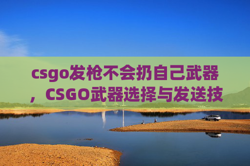 csgo发枪不会扔自己武器，CSGO武器选择与发送技巧全攻略