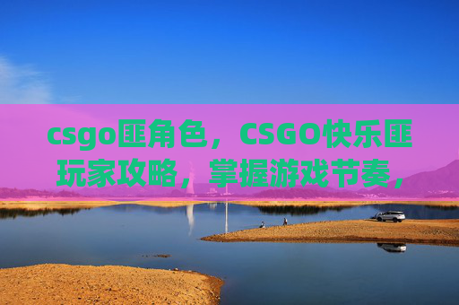 csgo匪角色，CSGO快乐匪玩家攻略，掌握游戏节奏，享受胜利的喜悦