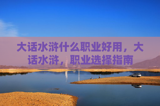 大话水浒什么职业好用，大话水浒，职业选择指南