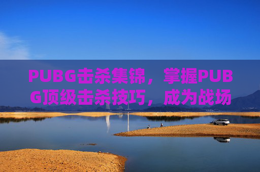 PUBG击杀集锦，掌握PUBG顶级击杀技巧，成为战场上的主宰者