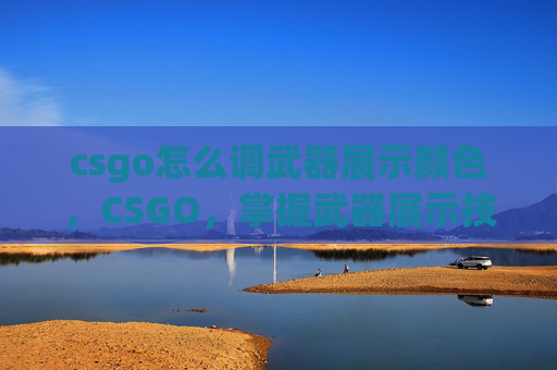 csgo怎么调武器展示颜色，CSGO，掌握武器展示技巧，成为场上焦点