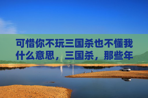 可惜你不玩三国杀也不懂我什么意思，三国杀，那些年，我们错过的默契与策略