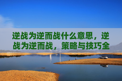 逆战为逆而战什么意思，逆战为逆而战，策略与技巧全解析