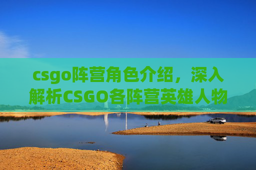 csgo阵营角色介绍，深入解析CSGO各阵营英雄人物，战术与策略的完美结合